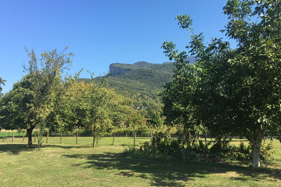 Le Clos Saint-Martin - Rive Droite